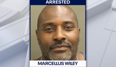 Former NFL player Marcellus Wiley arrested on domestic battery charge