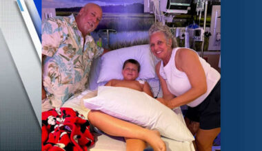 11-year-old loses hand in Florida alligator attack