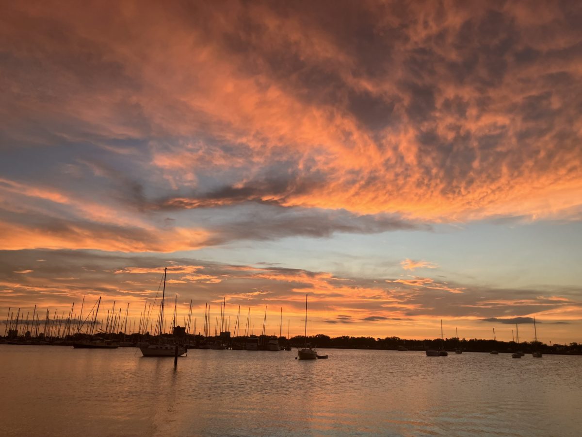 Tampa sunsets hold history and figures and they are living tributes to a vibrant and recovering industrial city