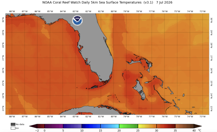 On Monday, the National Oceanic and Atmospheric Administration upped its alert level for coral bleaching conditions, saying water temperatures could now trigger significant bleaching.