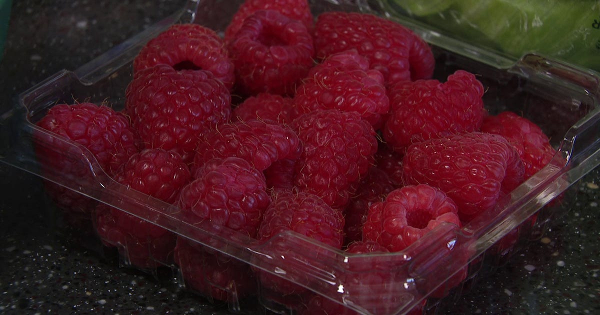 Cyclosporiasis outbreak: Five Tampa Bay area cases reported