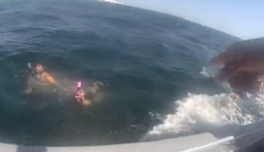 Watch: Florida deputies rescue exhausted snorkelers swept away by inlet current