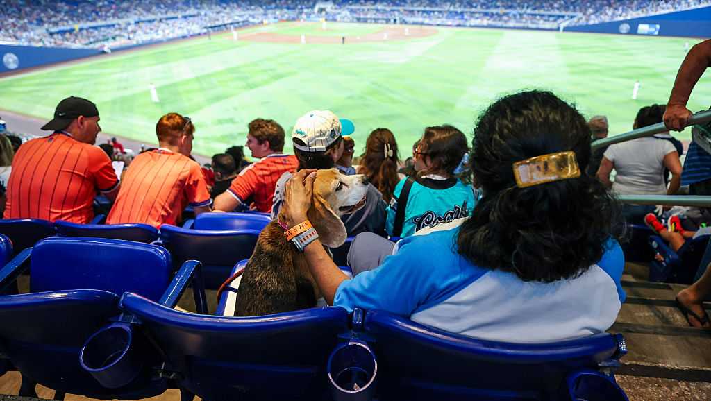 Boca Raton residents offered discounted tickets for Marlins game