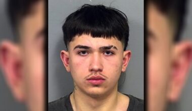 Sarasota homicide: Manatee County teen arrested in fatal shooting