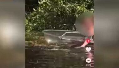 Viral video of woman petting alligator in Florida river under investigation