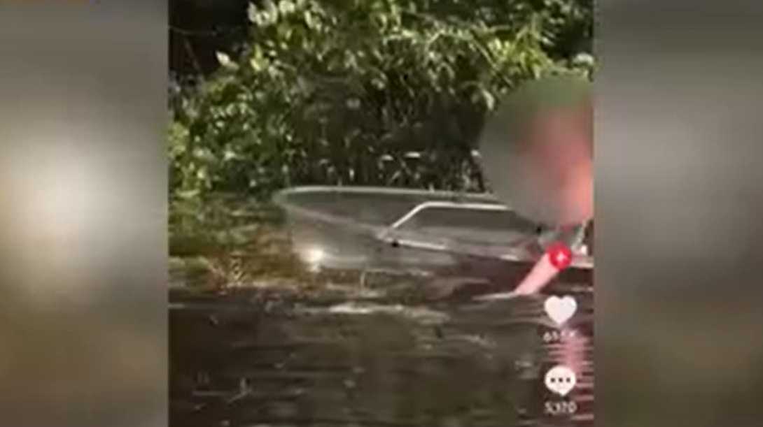 Viral video of woman petting alligator in Florida river under investigation