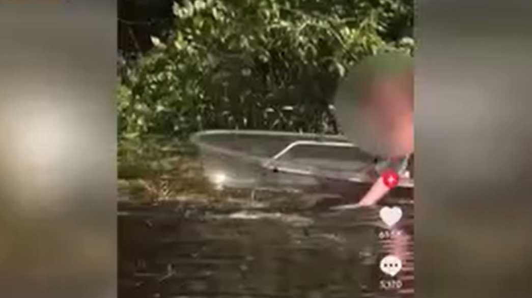 Woman seen on video petting an alligator in Florida
