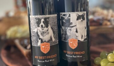 Orlando's Pet Alliance runs photo contest to put your furry companion on wine label