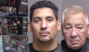 Florida men kept 2 dogs, 2 pigeons in scorching truck amid 600-mile move, deputies say