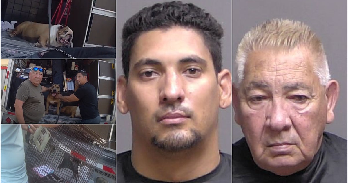 Florida men kept 2 dogs, 2 pigeons in scorching truck amid 600-mile move, deputies say