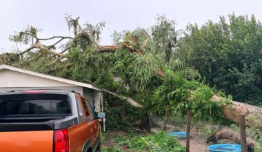 Riverview storm damage: Massive tree crushes home during severe weather