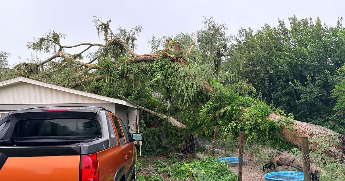 Riverview storm damage: Massive tree crushes home during severe weather