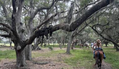 Experience Old Florida: Local attractions evoke pre-Disney Orlando