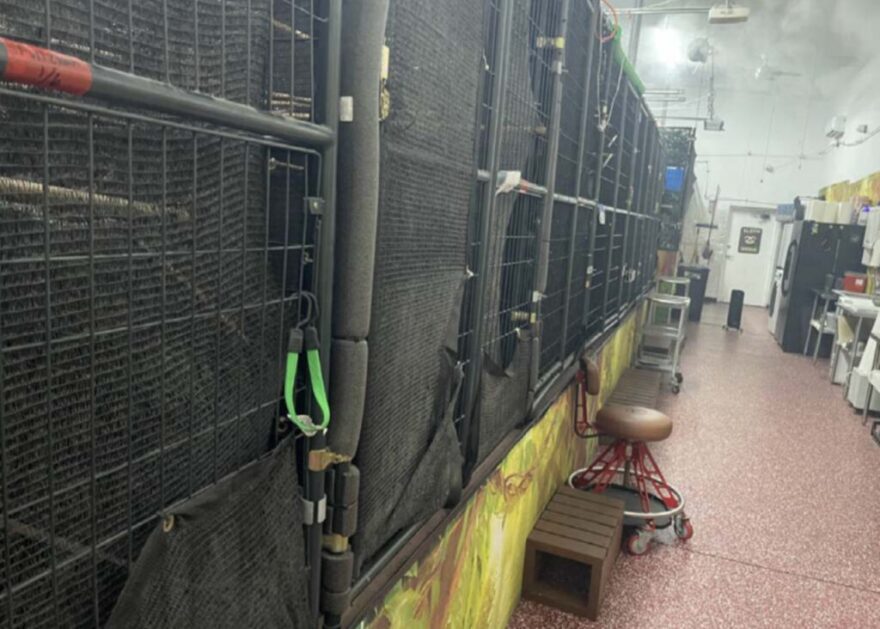 Photos from a Florida Fish and Wildlife Conservation Commission inspector show Sloth World’s warehouses in February and March