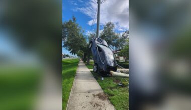 Driver loses control of car, strikes utility pole: FHP