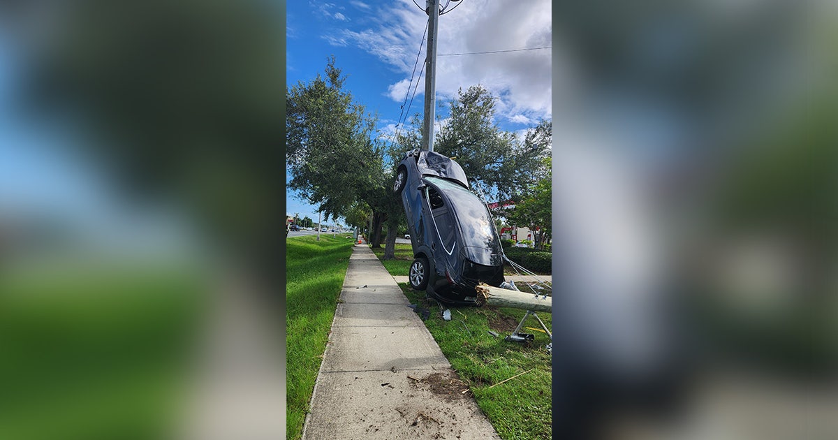 Driver loses control of car, strikes utility pole: FHP