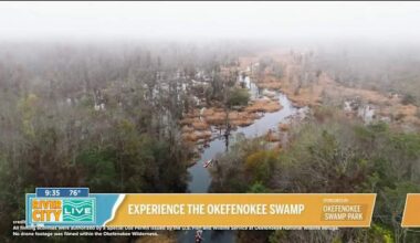Experience the Okefenokee Swamp
