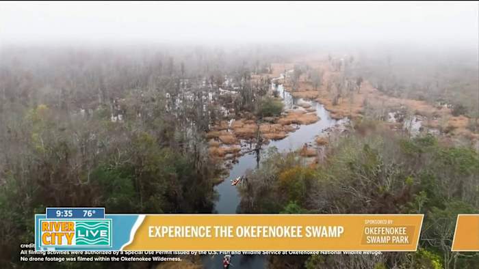 Experience the Okefenokee Swamp
