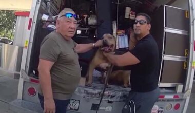 Florida men arrested after dogs, pigeons found suffering in 102-degree U-Haul, deputies say