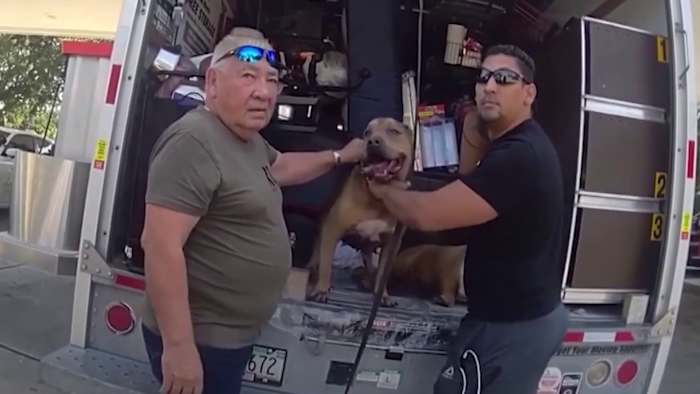 Florida men arrested after dogs, pigeons found suffering in 102-degree U-Haul, deputies say
