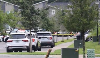 2-year-old Georgia child killed in Florida with unsecured gun