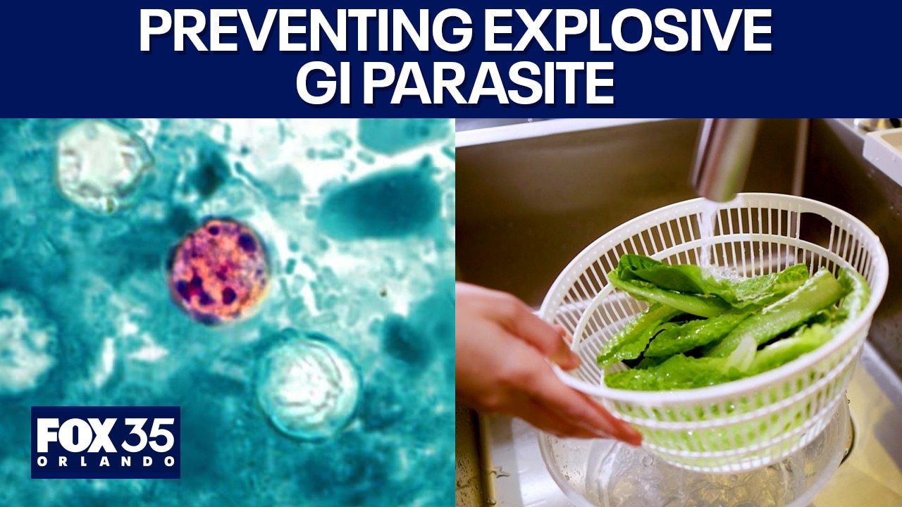 Cyclosporiasis: How to prevent the produce parasite