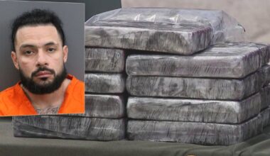 Drug trafficking ring dismantled as Pinellas County deputies seize 132 pounds of cocaine worth $2.1M