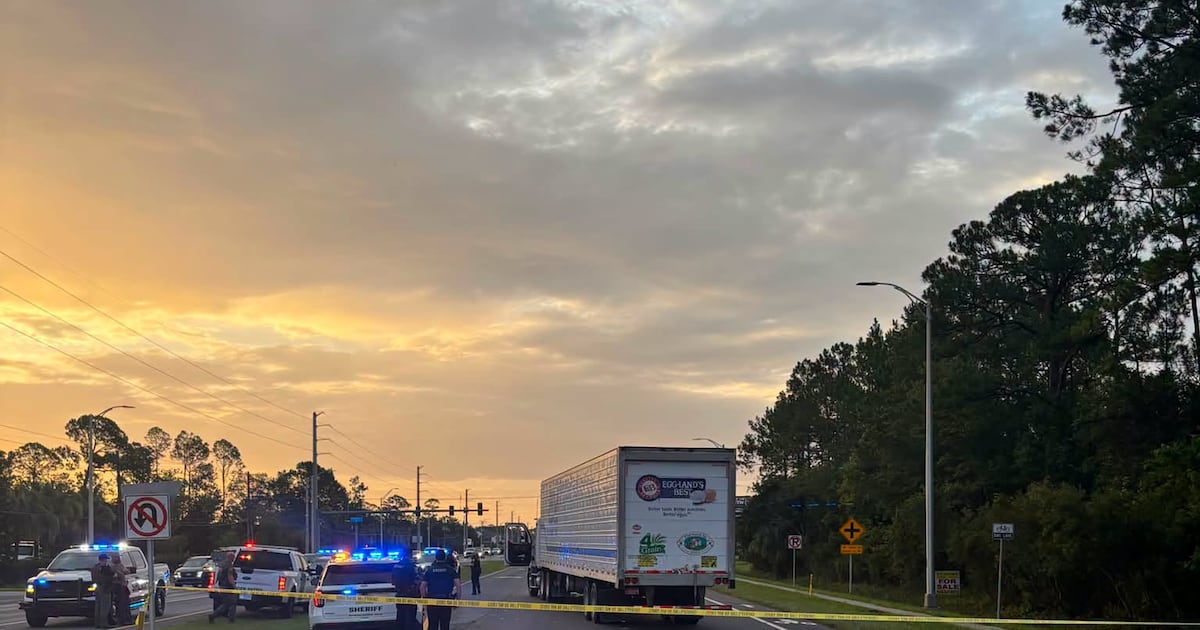 Man fleeing immigration officers in Florida is struck and killed by tractor trailer, police say