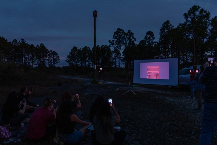 Zoo Miami visitors watch Florida bonneted bats emerging from a bat house erected at the zoo.