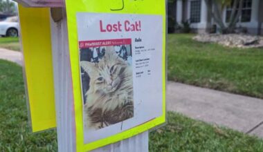 Thermal drones give Central Florida families hope in the search for lost pets