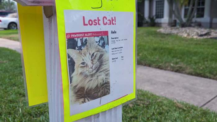 Thermal drones give Central Florida families hope in the search for lost pets