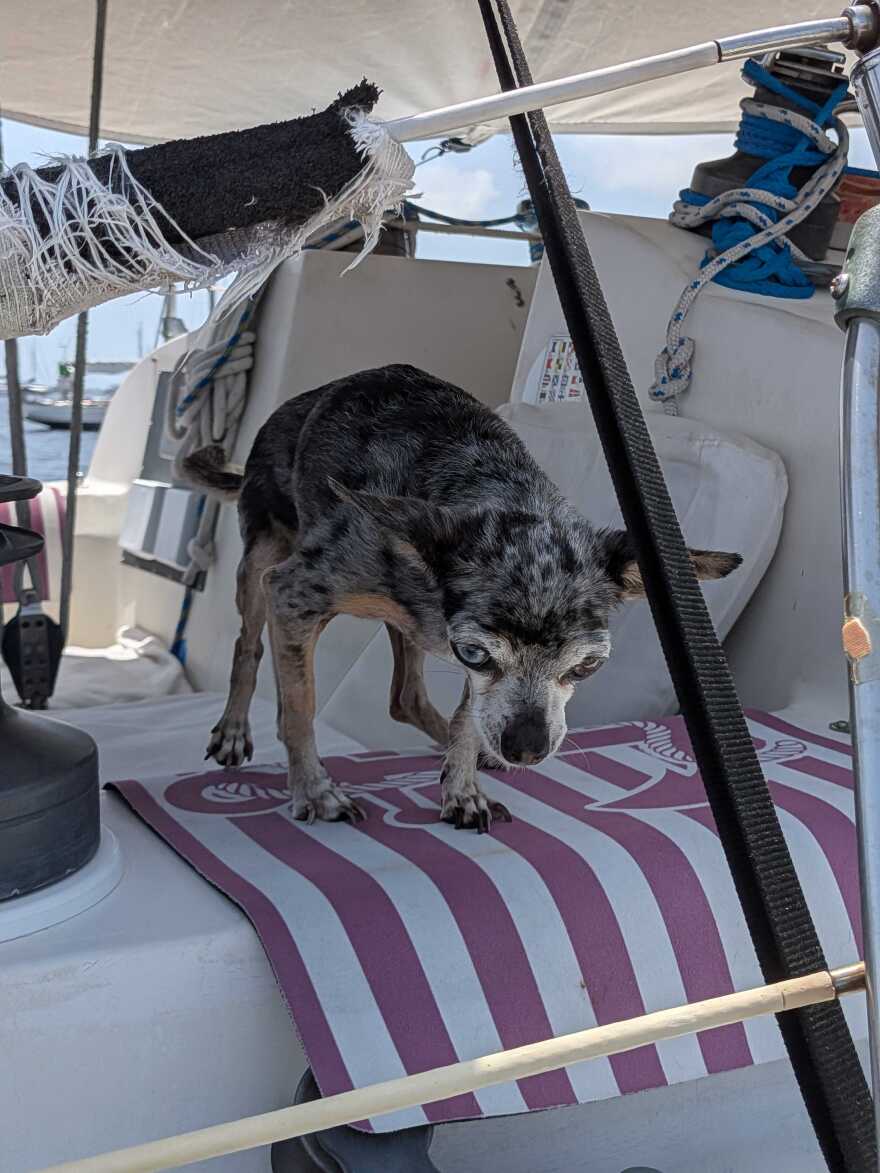 Abby on her boat