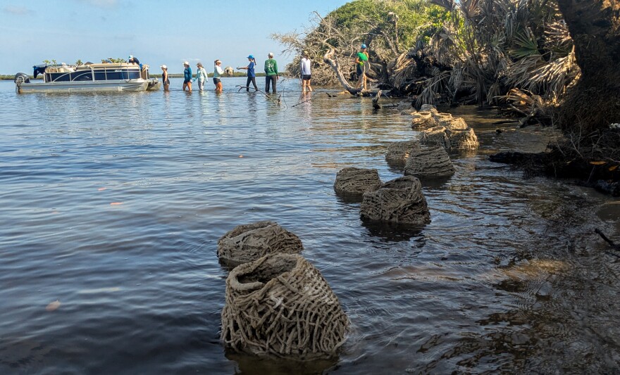 A conservation team unloads biodegradable wave breaks from a boat on May 27, 2025. The cement jute wave breaks designed for erosion protection are part of a living shoreline project in the Mosquito Lagoon.