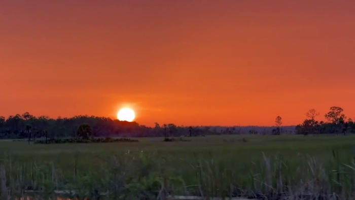 Florida’s $10K python challenge: One night with the hunters chasing the Everglades’ biggest threat