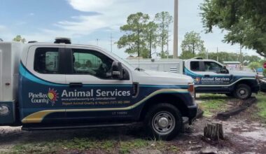 Pinellas County scammers posing as animal control officers, demanding cash for fake pet surgeries
