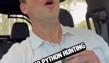 Ever wonder what it's like to go python hunting in the Florida Everglades?