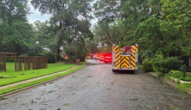 Husband, wife of 35 years killed when tree falls on car during storms