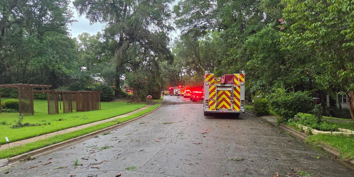 Husband, wife of 35 years killed when tree falls on car during storms