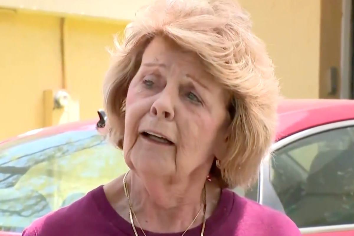 Florida woman stunned to receive new license plate with ‘racy’ message