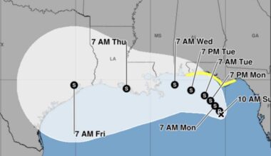 Tropical Depression Two forms off Florida's Gulf Coast