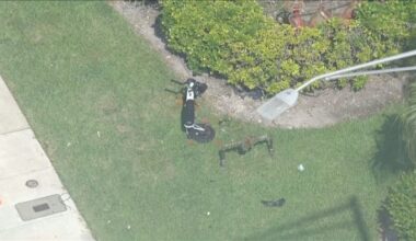 Man found dead near Fort Lauderdale roadway after possible hit-and-run crash, police say
