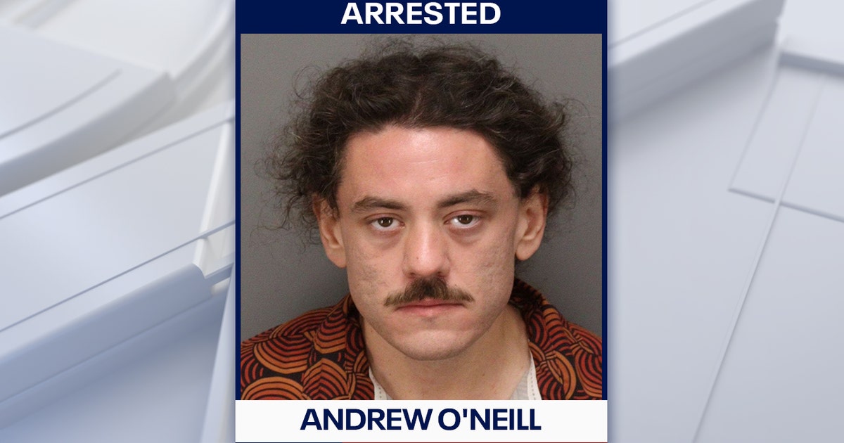 Man arrested after $96K vandalism caught on camera at St. Pete apartment building: Police