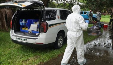 Florida postal worker who picked up stray cats on route kept over 70 animals in squalor: MCSO