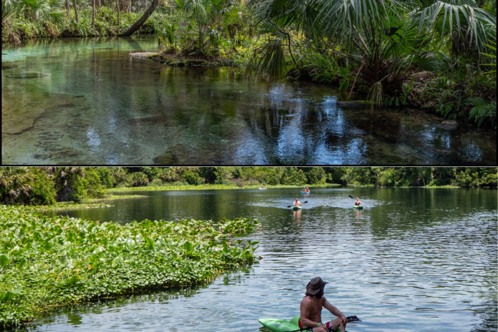 Top: Rock Springs Run. Bottom: Kayakers paddle along the Wekiva River near Wekiwa Springs. Both waterways are among the Outstanding Florida Springs highlighted in the St. Johns River Water Management District's draft Middle St. Johns River Basin Plan, which prioritizes spring protection, water quality and floodplain conservation.