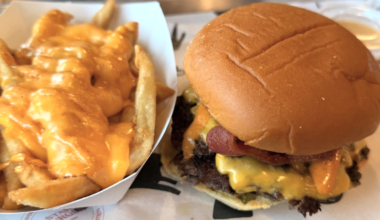 a cheese burger and a side of fries smothered in yellow cheese