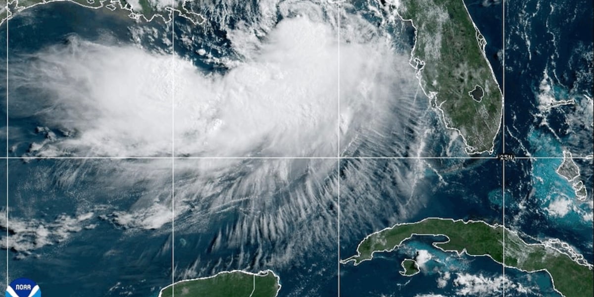 Tropical Storm Bertha is expected to bring heavy rain, flooding along the Gulf Coast