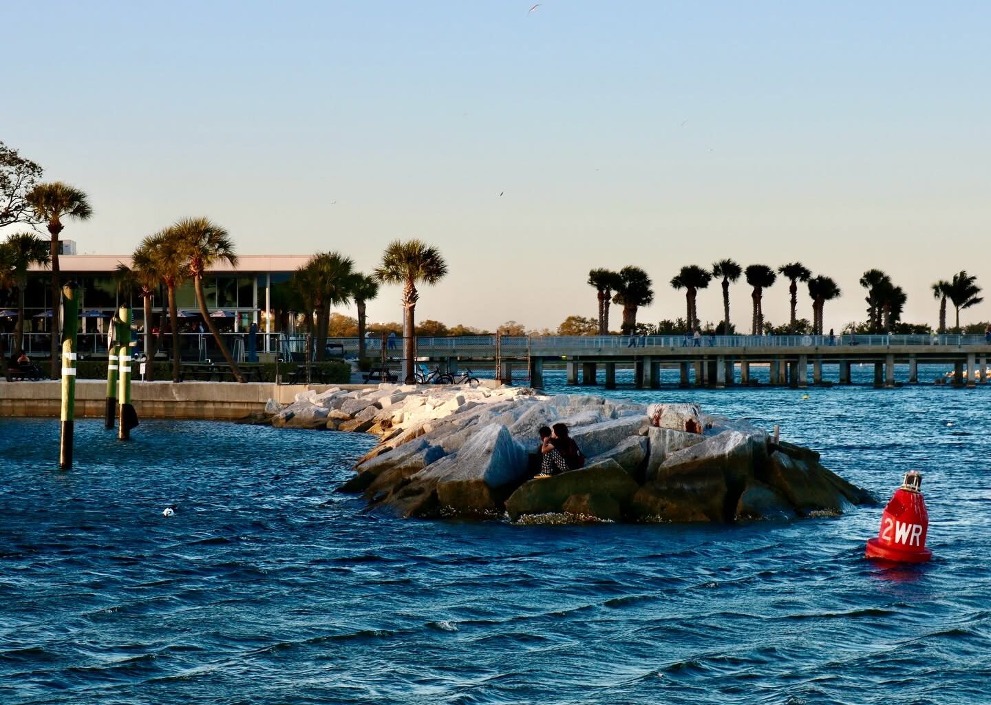 MFA St. Pete and Tampa Bay Watch host monthly art and nature tours