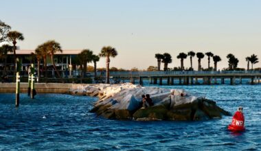 MFA St. Pete and Tampa Bay Watch host monthly art and nature tours