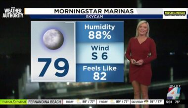 Another hot day ahead with a few pop up showers and storms