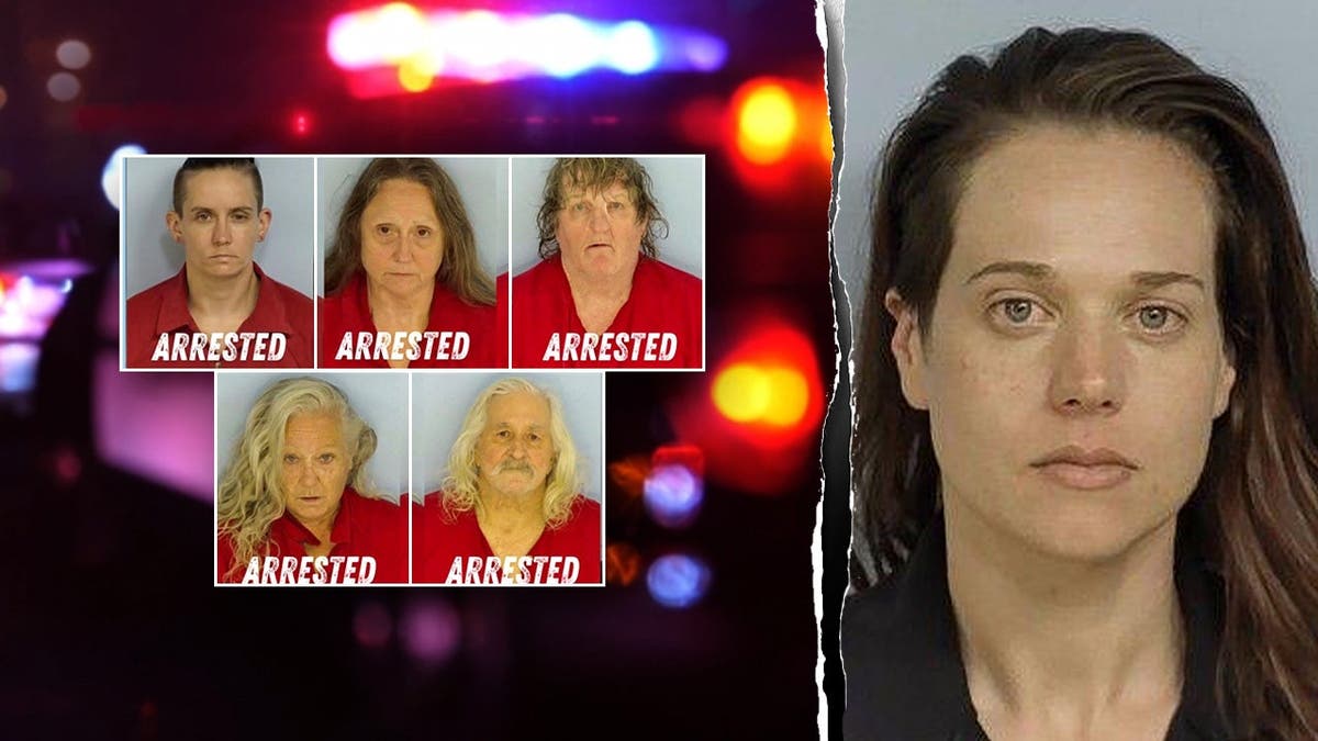 image shows split of mug shots from alleged accomplices on left and johnson's mugshot on right